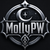 MollyPW - ОБТ доступ! Открытие 10 Июля!